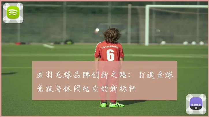 龙羽毛球品牌创新之路：打造全球竞技与休闲结合的新标杆